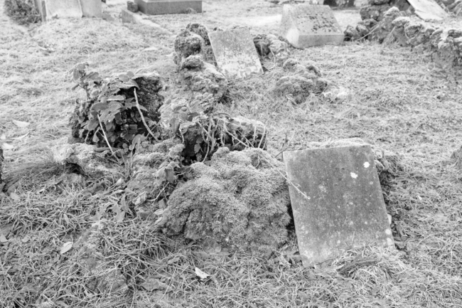 Juedischer Friedhof Luetticher Strasse